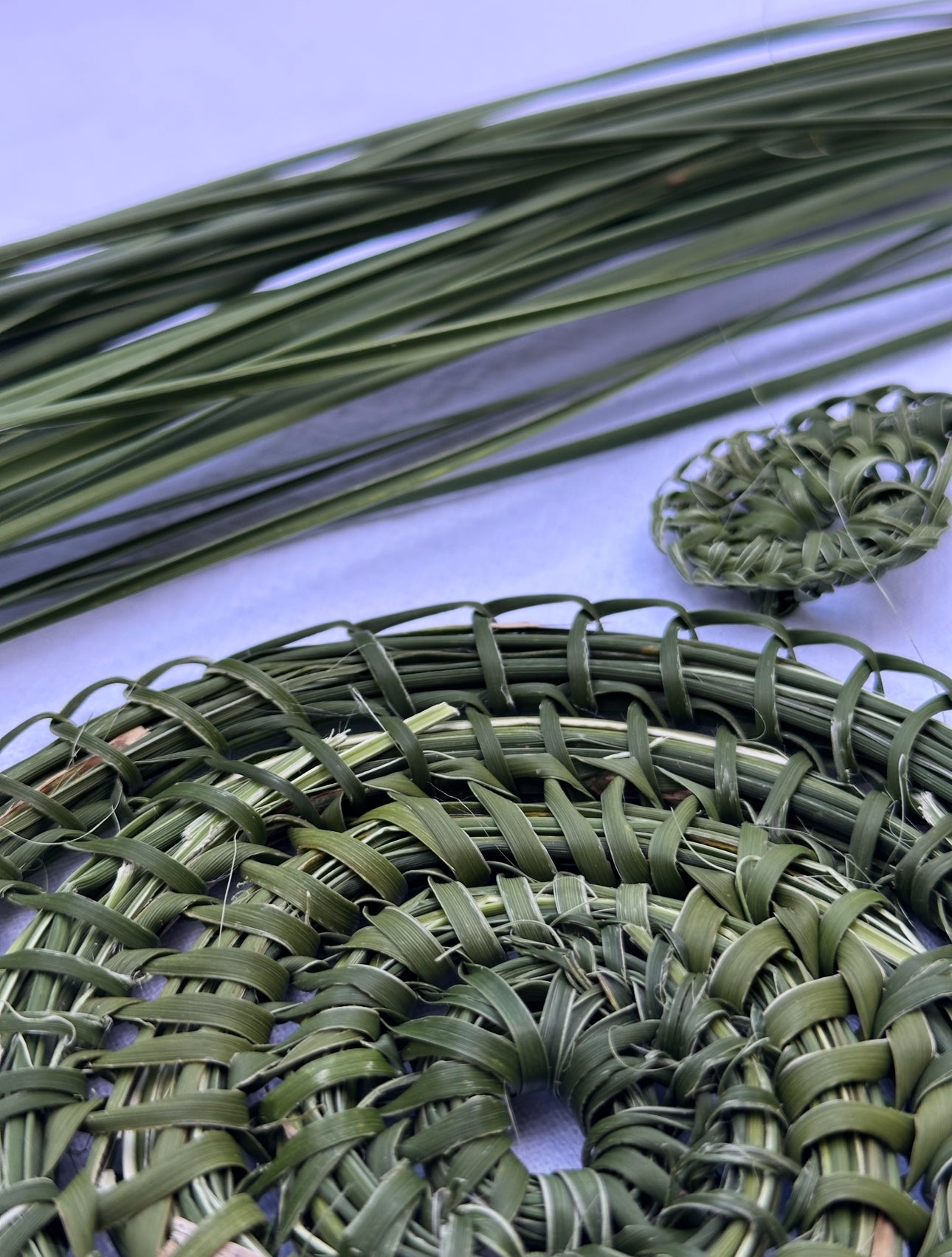 Lomandra Weaving Kit